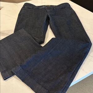 Express Dark Indigo Jeans - Eva Fit & Flare